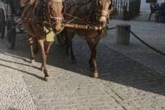 Erasmus Hiszpania - praca